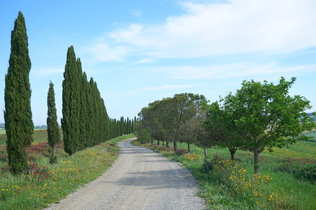 Minibus winding country road Tuscany