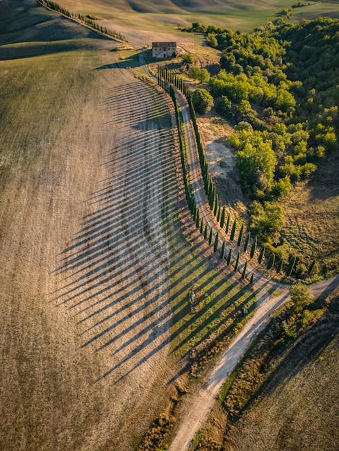 Montepulciano vineyard sunset hilltop view