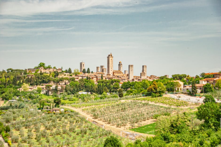 Tourist on e-bike olive grove Tuscany