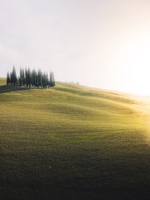 Tuscany sunset vineyard silhouette
