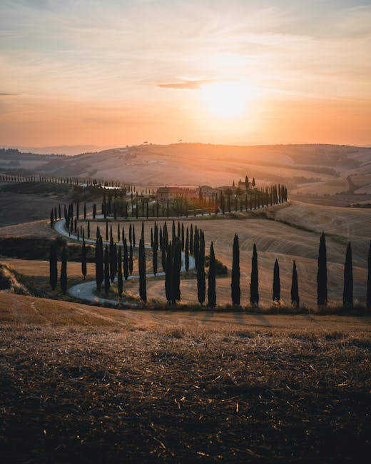 Val d'Orcia Tuscany cypress road golden hour