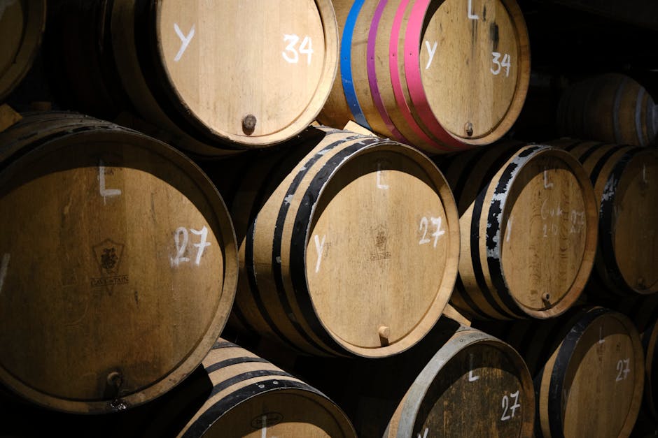 Montepulciano wine cellar tasting barrels