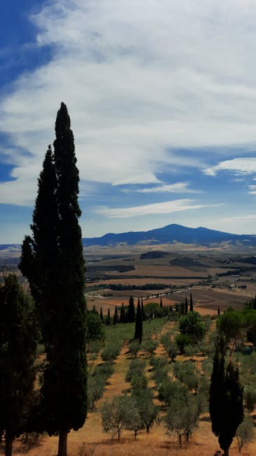 Pienza panoramic view Val d Orcia sunset